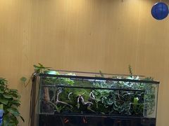 -神奇科学家STEAM科学实验科创赛事机器人编程逻辑思维MadScience(长宁来福士校区)