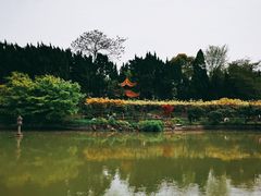 -嘉定紫藤园