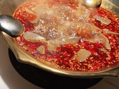 -九鼎轩脆毛肚火锅(三钢里店)