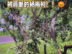 -洋湖国家湿地公园