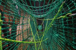 -奇幻丛林(佛罗伦萨小镇店)