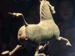 -甘肃省博物馆