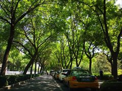 -一手店(五道口店)