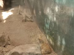 -昆明动物园