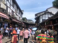 -胖娃古镇鸡杂(磁器口总店)