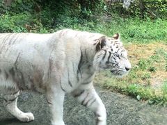 -杭州野生动物世界