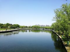 -院士公园