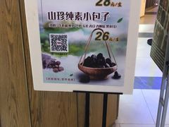 山珍纯素小包子-白玉兰食品(甜云店)