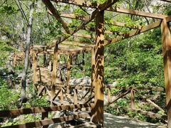 -大岭沟猕猴桃谷风景区