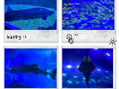 -成都浩海立方海洋公园