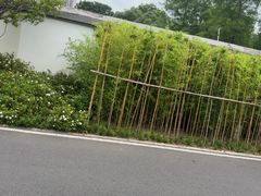 -武汉动物园