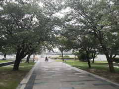-蠡湖大桥公园