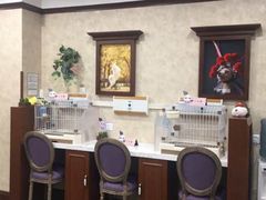-宠爱国际动物医院· 猫科· 外科·中兽医(长白店)