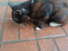 -来伊份(双桂坊店)