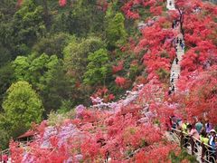-岳西天峡风景区