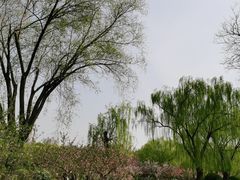 -燕郊植物园