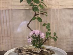 -千禧万福汉亭舫·船舫苏宴