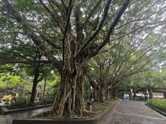 -海口火山口国家地质公园
