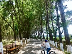 -东郊湿地公园