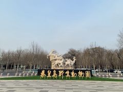 -秦皇岛野生动物园