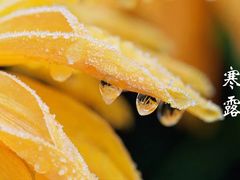 -东兴楼饭庄(六里桥店)