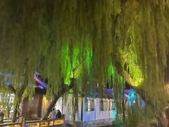 -周庄红庭演艺酒吧