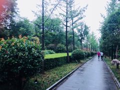 -唐城墙遗址公园