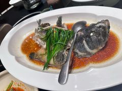 清蒸石斑鱼-花城粤菜餐厅(高新区店)