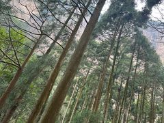 -雁荡山风景名胜区