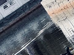 -丰台花园