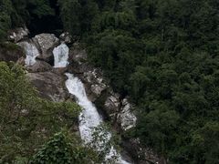 -海南热带雨林国家公园吊罗山景区