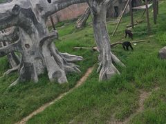 -南昌动物园