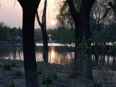 -大兴滨河森林公园