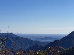 -大岭沟猕猴桃谷风景区