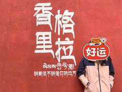 -银同牦牛肉火锅