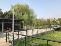 -尚贤河湿地