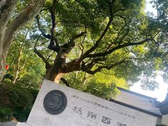 -杭州黄龙洞