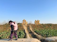 -乌村
