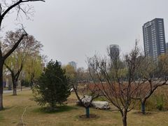 -渭滨公园
