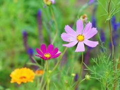 -潭柘厚院&山顶烤肉(潭柘寺店)