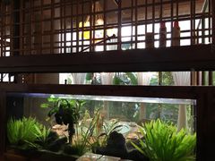 -听香·678茶铺(猛追湾店)