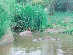 -前关湿地公园