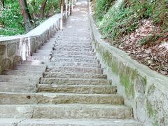 -陕西省红河谷森林公园