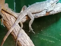 -上海大自然野生昆虫馆