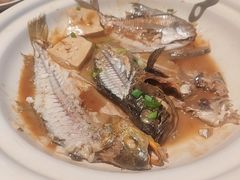-单家老院·院子里的青岛菜(沙子口店)