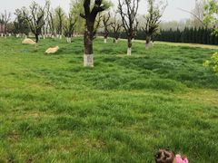 -汉长安城未央宫国家考古遗址公园