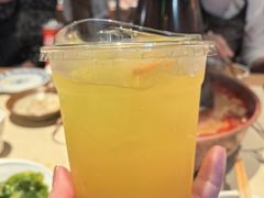 -东镇老火锅(长春路首店)