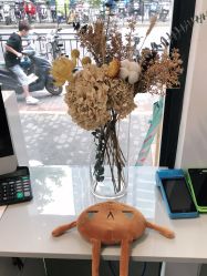 -FUTURE HN男士发型风格设计