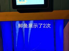 -海合安青岛极地海洋公园