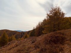 -苏木山森林公园